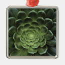 Zoek naar groei ornamenten Groen