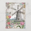 Zoek naar tulp vintage briefkaarten Natuur