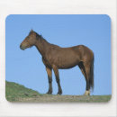 Recherche de mustang sauvage tapis souris Équestre