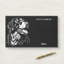 Recherche de bernese mountain dog Nom