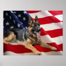 Zoek naar gsd posters Herder