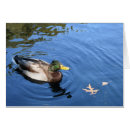 Recherche de conservation photographie Nature