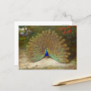Recherche de émeraude cartes postales Faune