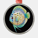 Recherche de aquariums ornements Pour tous