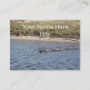 Recherche de grand animal cartes visite Nature