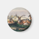Zoek naar wolfs magneten Vintage