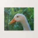 Recherche de canard puzzles Faune