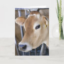 Recherche de vache à jersey vœux cartes Animal