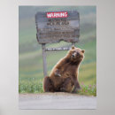 Recherche de carnivore art Animal