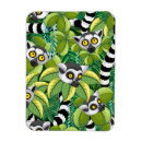 Recherche de primate magnete Jungle