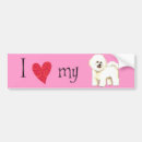 Recherche de bichon voiture autocollants Frise de bichon