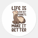 Recherche de belette autocollants Furet