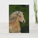 Recherche de haflinger vœux cartes Palomino
