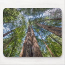 Recherche de woods tapis souris Séquoia