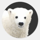 Zoek naar kubus stickers Sneeuw