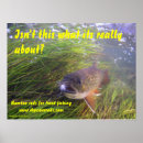 Recherche de pêche mouche posters Truite