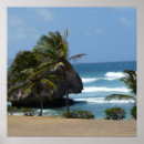 Zoek naar barbados kunst Zee