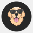 Recherche de compagnon autocollants Mignon