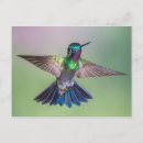 Recherche de volée cartes postales Nature