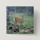 Recherche de animal de forêt badges Cerf