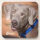 Recherche de weimaraner dessous de verres Animal