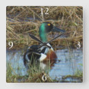 Recherche de le canard horloges Canards