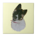 Recherche de peinture portrait carreaux Chien