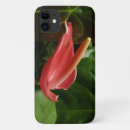 Recherche de calla lilly iphone coques Rose