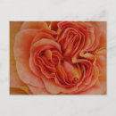 Recherche de pastel rose cartes postales Toute personne