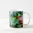Recherche de feuille de lierre tasses Vigne