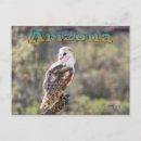 Recherche de paysage français cartes postales Oiseau