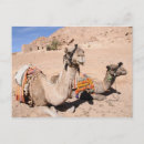 Recherche de camel cartes postales Voyage