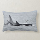 Recherche de orca coussins Orques