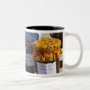 Recherche de var tasses Pain