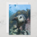Recherche de plongée sous marine vœux cartes Plage