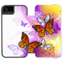 Recherche de papillons de monarque coques Orange