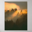 Recherche de brouillard posters Marin
