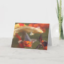 Recherche de carpe koi vœux cartes Nature