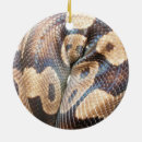 Zoek naar python ornamenten Reptiel