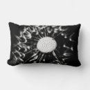 Recherche de pissenlit coussins Nature