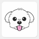 Recherche de bichon frise autocollants Chien blanc
