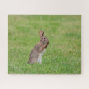 Zoek naar konijntje puzzels Lente