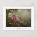 Recherche de johnson cartes postales Martin johnson heade