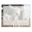 Zoek naar boerderijen notitieblokken Dieren