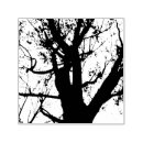 Recherche de timbres photographie Nature