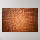 Zoek naar huiden posters Alligator