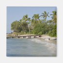 Recherche de la république dominicaine magnets Tropical