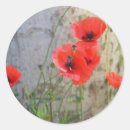 Recherche de red poppies autocollants Champ