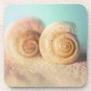Zoek naar shells onderzetters Zeeschol