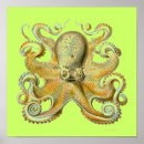 Recherche de haeckel posters Artiste